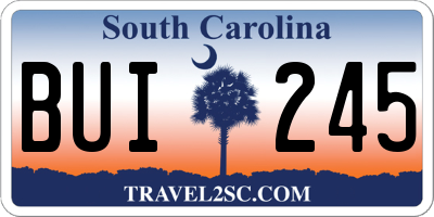 SC license plate BUI245