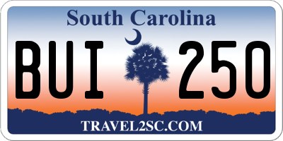 SC license plate BUI250