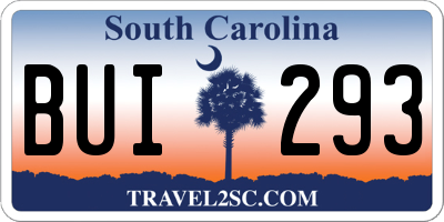 SC license plate BUI293
