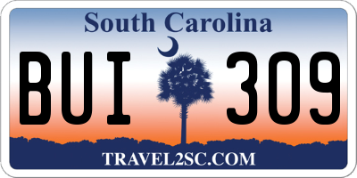 SC license plate BUI309