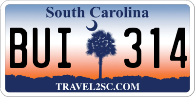 SC license plate BUI314
