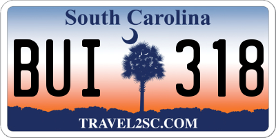SC license plate BUI318