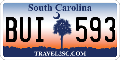 SC license plate BUI593