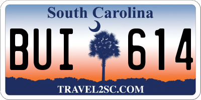 SC license plate BUI614