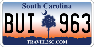 SC license plate BUI963