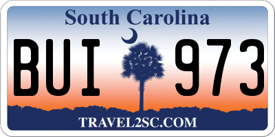 SC license plate BUI973