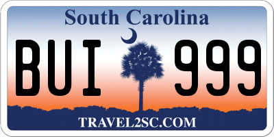 SC license plate BUI999