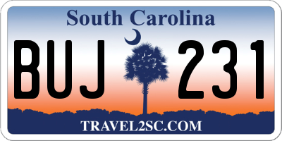 SC license plate BUJ231