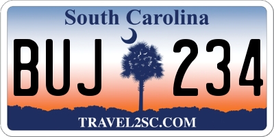 SC license plate BUJ234