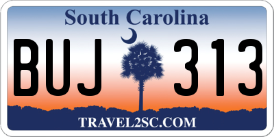 SC license plate BUJ313