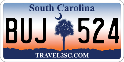 SC license plate BUJ524