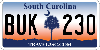SC license plate BUK230