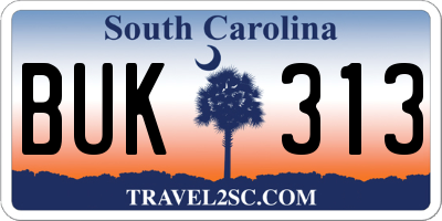 SC license plate BUK313