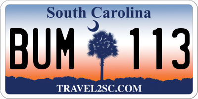 SC license plate BUM113