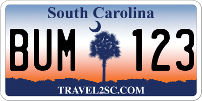 SC license plate BUM123