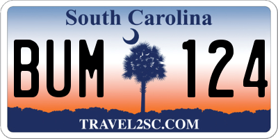 SC license plate BUM124
