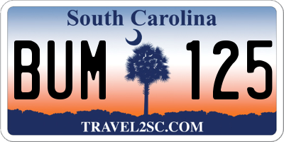 SC license plate BUM125