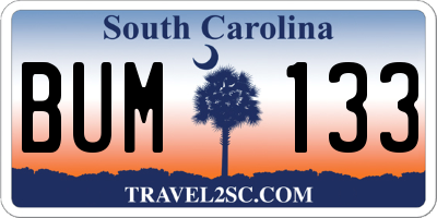 SC license plate BUM133
