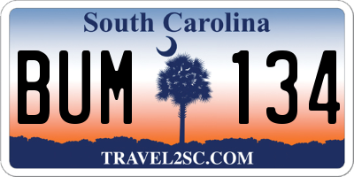 SC license plate BUM134