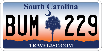 SC license plate BUM229