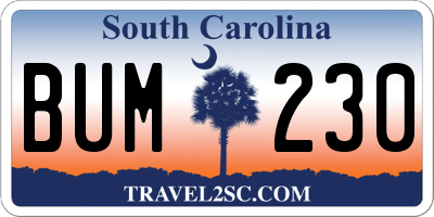 SC license plate BUM230
