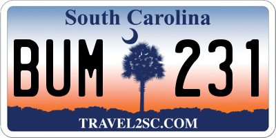SC license plate BUM231