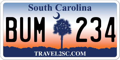 SC license plate BUM234