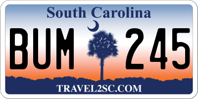 SC license plate BUM245