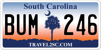 SC license plate BUM246