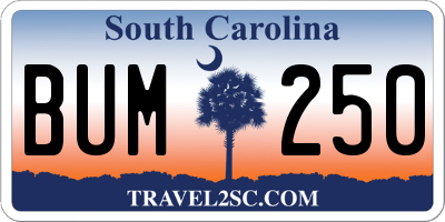 SC license plate BUM250