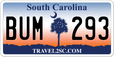 SC license plate BUM293