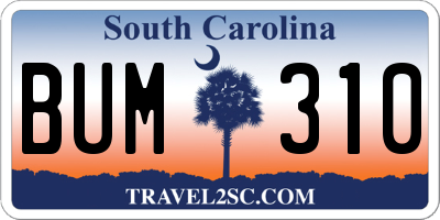 SC license plate BUM310