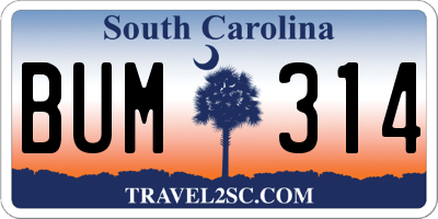 SC license plate BUM314