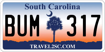 SC license plate BUM317