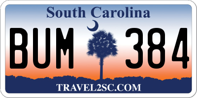SC license plate BUM384