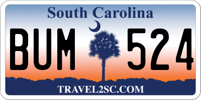 SC license plate BUM524