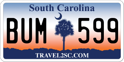 SC license plate BUM599