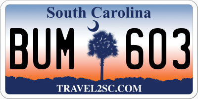 SC license plate BUM603