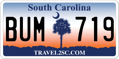 SC license plate BUM719
