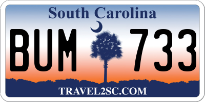 SC license plate BUM733