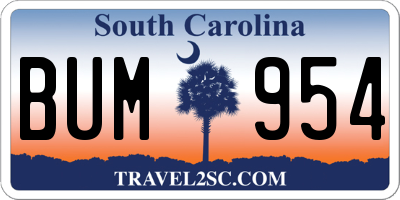 SC license plate BUM954