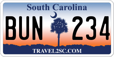 SC license plate BUN234