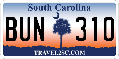 SC license plate BUN310