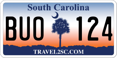 SC license plate BUO124