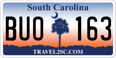 SC license plate BUO163