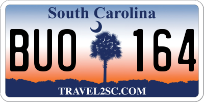 SC license plate BUO164