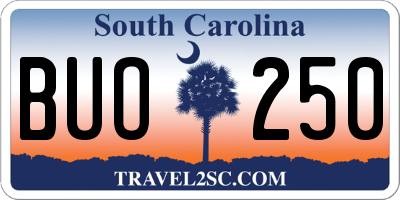 SC license plate BUO250