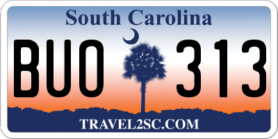 SC license plate BUO313