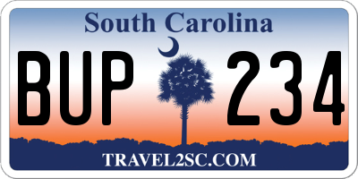 SC license plate BUP234