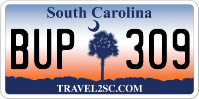 SC license plate BUP309